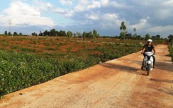 Nguyên Phó GĐ Sở TN&MT Gia Lai tách thửa hàng loạt đất nông nghiệp