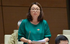 ĐBQH: "Sự cố xã hội hóa SGK một câu chuyện cay đắng rất đáng phải quên đi"