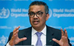 Dữ liệu điều tra nguồn gốc Covid-19 bị hạn chế, 14 nước lên tiếng quan ngại