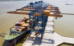 Chủ hàng khóc ròng vì cước vận chuyển container lạnh tăng phi mã