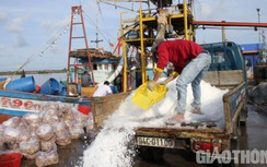 Vì sao dự án nâng cấp, mở rộng cảng cá Gành Hào đang gặp khó?