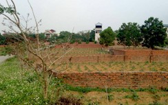 Thuốc trị sốt đất