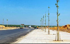 Đang phân chia 3.000 lô đất tái định cư dự án Sân bay quốc tế Long Thành