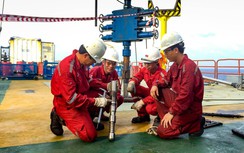 Petrovietnam tiếp tục mở rộng thị phần, đẩy mạnh liên kết đầu tư