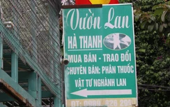 Chủ vườn lan đột biến bị tố "ôm" hàng trăm tỷ bỏ trốn là ai?