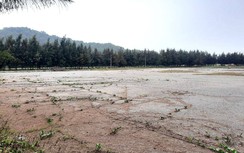 Quảng Ninh: Tàu cá bất an ở nơi tránh, trú bão trăm tỷ