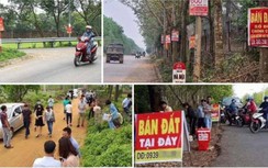 "Sốt đất" bất thường: Đánh thuế đất bỏ không, đầu cơ sẽ hết!