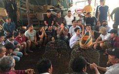 Công an bất ngờ ập vào “sới gà” tại Đông Hà, bắt quả tang 45 đối tượng