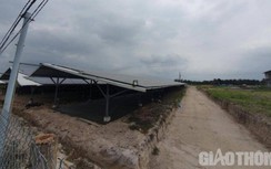 Lãnh đạo Bình Định: Không để phát triển điện mặt trời ồ ạt theo phong trào
