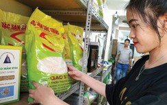 Lo gạo ST25 dính “vết xe đổ” của cà phê Trung Nguyên tại Mỹ