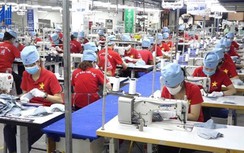 Doanh nghiệp chật vật xoay xở trong “bão giá” đầu vào