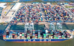 Cước vận chuyển container lạnh đi Mỹ tăng chóng mặt