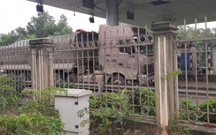 Hàng loạt trạm cân hỏng, xe quá tải vô tư phá cao tốc Hà Nội - Lào Cai