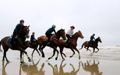 Khu phức hợp du lịch Hồng Lam Xuân Thành, Hà Tĩnh: Đẳng cấp mùa du lịch biển 2021