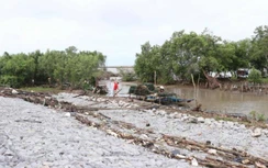 Chuyên gia Hàn Quốc sẽ xử lý khe lún đê biển Tây ở Cà Mau