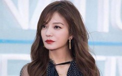 Triệu Vy bị đóng băng cổ phiếu: Chỉ bằng một góc của cải cô đang có