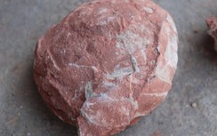 Trung Quốc tuyên bố tìm thấy 10 quả trứng khủng long từ thời kỷ Phấn trắng