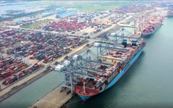 Hàng hóa qua cảng biển Vũng Tàu tăng hai con số dù ảnh hưởng Covid-19