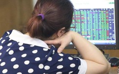 Chứng khoán hôm nay 6/5: VN-Index đứt mạch tăng điểm