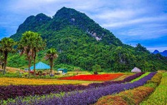 Tiềm năng thu hút đầu tư du lịch, hạ tầng Yên Bái từ những kỳ quan