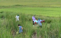 Nghi án mẹ sát hại con rồi bế thi thể lên đường tàu để tự vẫn