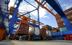 Đề xuất bỏ tác nghiệp bốc dỡ từ tàu xuống ô tô tại cảng biển
