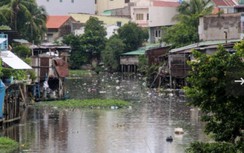 TP.HCM cần gần 10.000 tỷ cứu rạch Xuyên Tâm ô nhiễm nặng