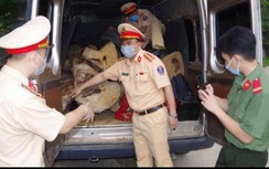 Hà Giang: Nghẹt thở truy đuổi, bắt đối tượng vận chuyển gần 2 tấn gỗ quý