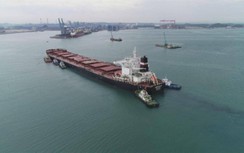 Hàng hải lên phương án dẫn tàu hoa tiêu dương tính Covid-19