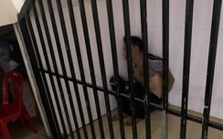 Bị truy đuổi, tên trộm nhảy trốn dưới kênh Tàu Hủ vẫn không thoát