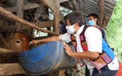 Thông tin mới nhất diễn biến sức khỏe ông Đoàn Ngọc Hải từ CDC Điện Biên