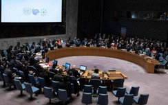 Lý do khiến HĐBA không thể ra tuyên bố về Israel-Palestine là gì?