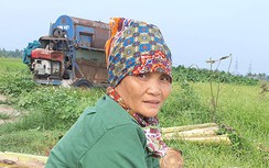 Cuộc sống khốn khổ của người đẻ nhiều con nhất Thủ đô