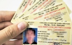 Kiến nghị chưa nhân rộng cấp, đổi GPLX cấp độ 4 ra toàn quốc