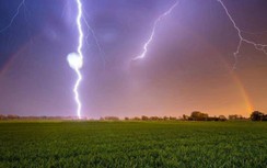 Đi tìm trâu, 2 người đàn ông ở Điện Biên bị sét đánh thương vong