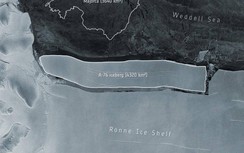 Video: Tảng băng lớn gấp 3 lần thủ đô của Ấn Độ đã tách ra khỏi Nam Cực