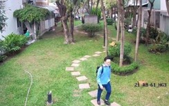 Sắp xét xử kẻ sát hại người Hàn Quốc, đốt ô tô phi tang ở TP.HCM
