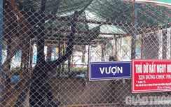 Vụ nuôi nhốt động vật rừng ở Bạc Liêu: Chủ khu du lịch giải trình gì?