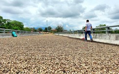 Cầu chục tỷ dở dang vì tắc mặt bằng, thiếu vốn