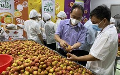 Hơn 7.000 tấn vải thiều Lục Ngạn vận chuyển, tiêu thụ thuận lợi