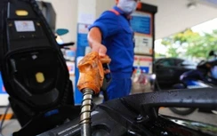 Giá xăng dầu hôm nay 2/6: Tăng cao nhất gần 3 năm qua