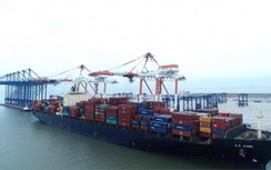 Đề xuất hơn 600 tỷ đồng làm đường kết nối cảng Lạch Huyện