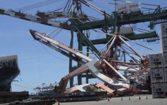 Video cảnh cần cẩu container đổ ập như trong siêu động đất ở Đài Loan