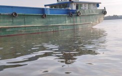 Sà lan tông hàng loạt nhà bè, 10 tấn cá thoát ra sông Tiền