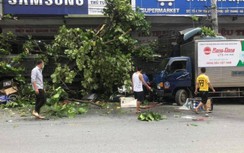 Video: Khoảnh khắc xe đầu kéo chồm lên vỉa hè, "nghiền nát" nhiều xe máy