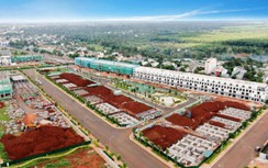 Đảm bảo tiến độ triển khai, EcoCity Premia tiếp tục là điểm sáng hút đầu tư