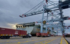 Cảng CMIT đón tàu trên tuyến dịch vụ mới trực tiếp đi Mỹ