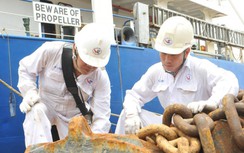 Dở khóc dở cười đăng kiểm tàu biển mùa dịch Covid-19