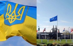 Ukraine không hài lòng với những hứa hẹn về triển vọng gia nhập NATO