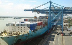 Hàng tạm nhập tái xuất, không đi vào nội địa sao thu phí cảng biển?